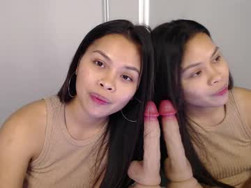jasmin3 star