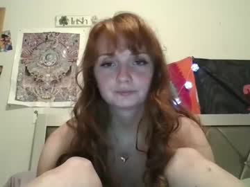 sansa shark